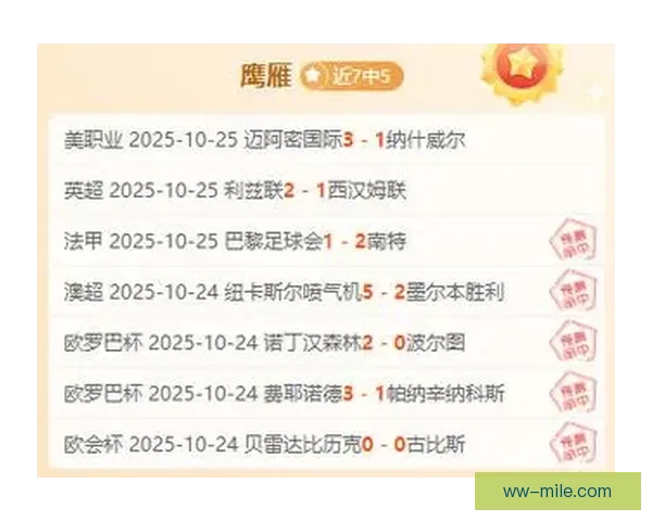 2025夏季转会窗口布伦特福德前锋去向与英超多队竞逐深度解析 2025夏季转会窗口布伦特福德前锋去向与英超多队竞逐深度解析
